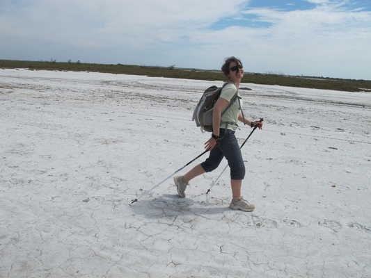 Marche Nordique  et balades en Camargue