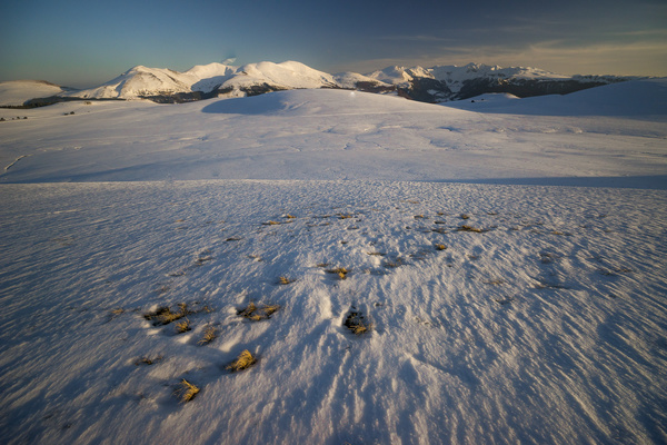 La "Kungsleden", raid ski et Pulka en Laponie Suédoise