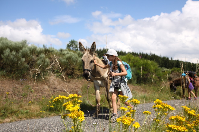 itinérance avec un âne en Ardèche