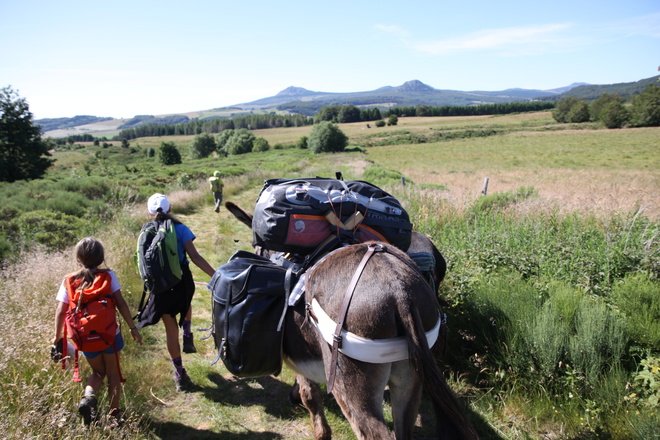 Randonnée avec 1 âne en Ardèche