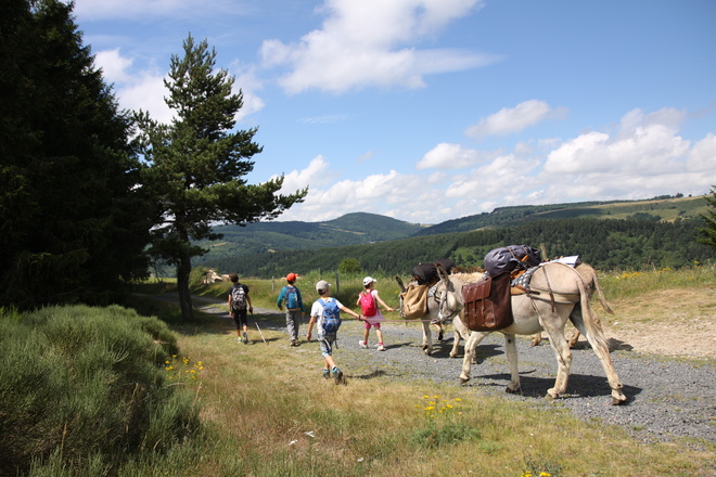 séjour avec 1 âne sur les Monts d'Ardèche