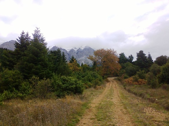 Chemin en Epire Grèce