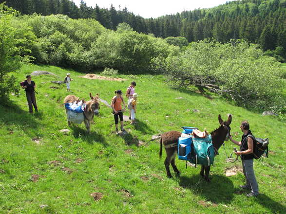 l'Auvergne avec un âne avec Aluna Voyages