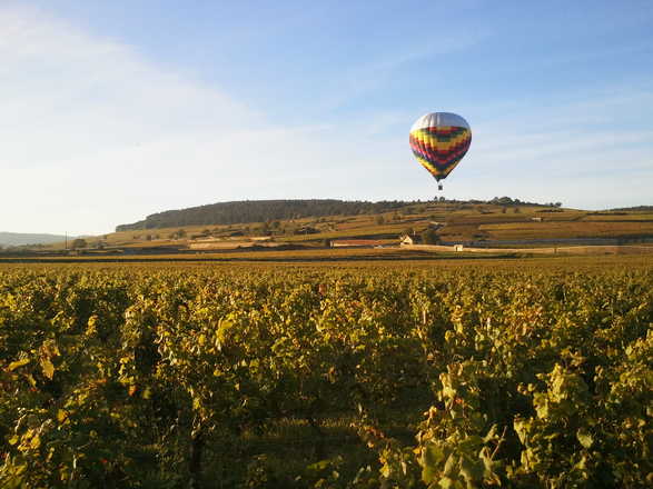 Vignoble de  Bourgogne