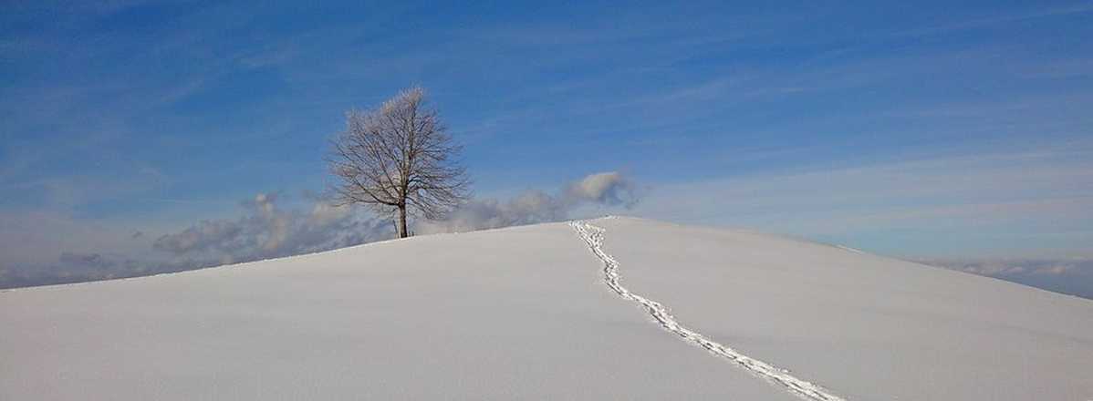 Trace de raquette a neige sur le plateau du Vercors