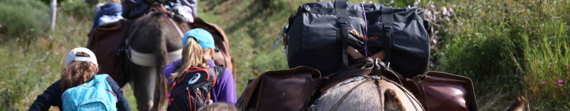 Tour guidé des Monts d'Ardèche avec un âne | 4 jours en itinérance