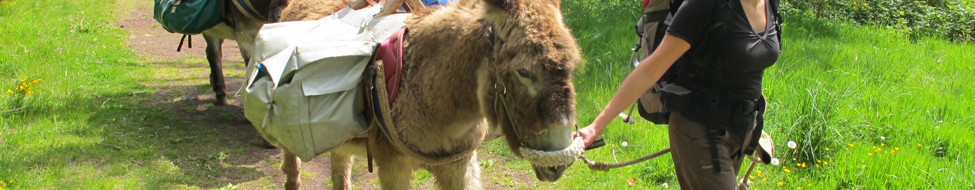 5 days with a donkey in Auvergne | Aluna Voyages