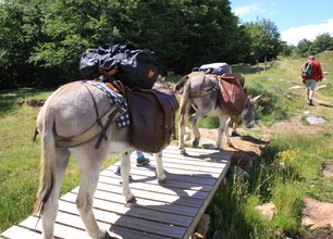 6 jours en liberté sur les Monts d'Ardèche avec un âne