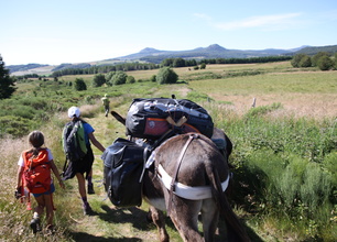 4 jours guidés avec un âne sur les Monts d'Ardèche