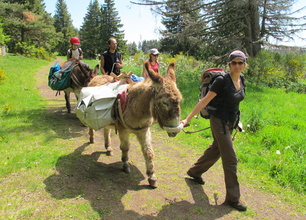 3 days with a donkey in Auvergne
