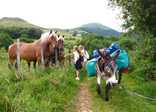 4 days in Auvergne volcanoes with a donkey - 3 nights in hotel
