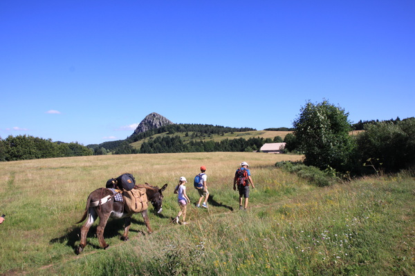 Tour guidé des Monts d'Ardèche avec un âne