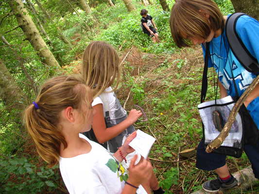 Sport et pleine nature en Auvergne