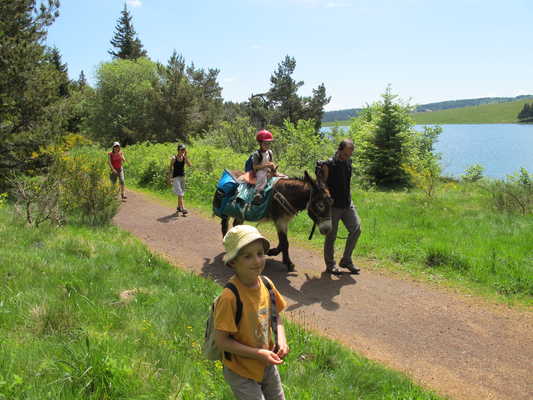 Tour guidé avec des ânes entre lacs et volcans d'Auvergne