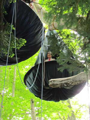 Bivouac arboricole en Vercors