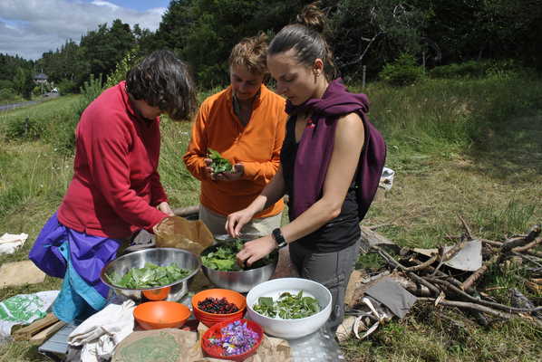 Cueillettes et cuisine sauvage en Auvergne