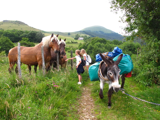 4 jours entre lacs et volcans d'Auvergne avec un âne