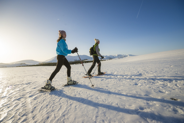 3 jours de rando hivernale sur les volcans d'Auvergne