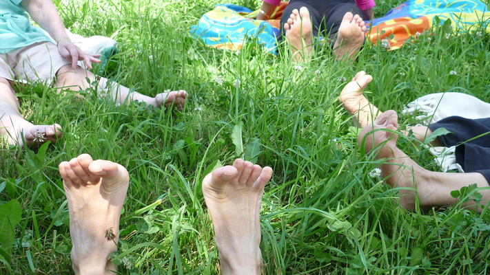 Rando-balades et réflexologie en Vercors