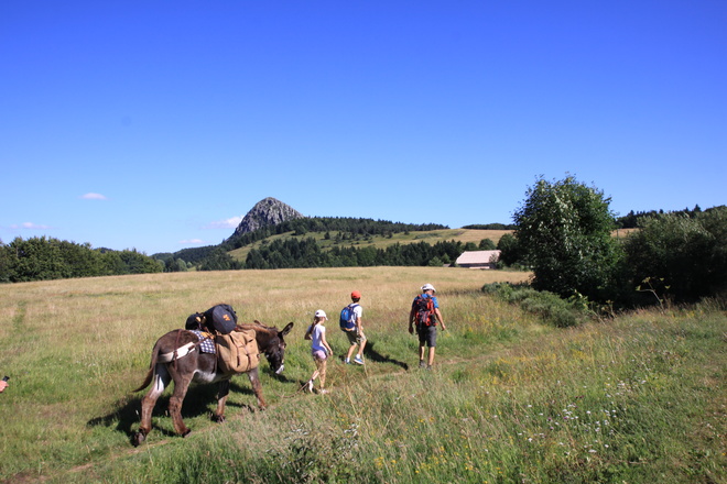 voyage avec un âne en Ardèche