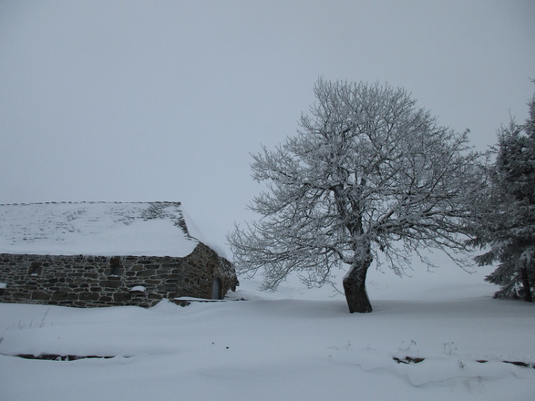 Maison de pierre dans paysage d' hiver