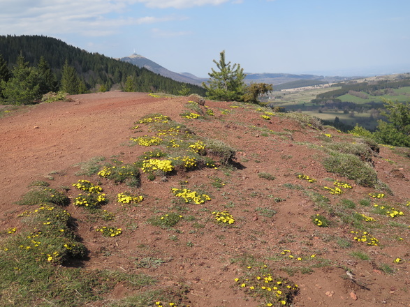 Puy de la Vache  Chaine des Puys patrimoine mondiale de l'UNESCO