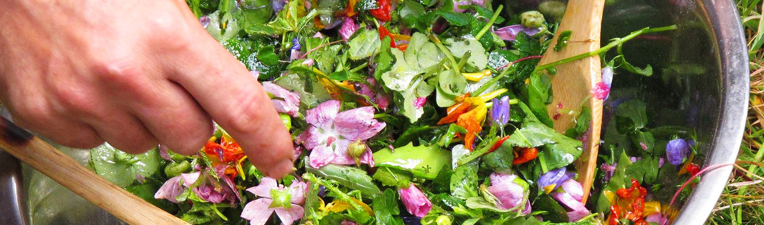 Salade de plantes sauvages