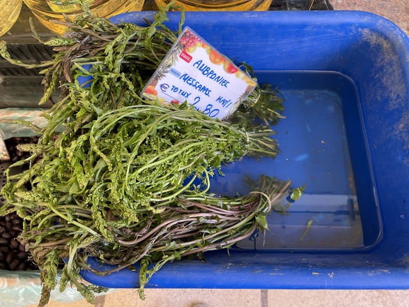 Découverte des plantes sauvages comestibles en Crète