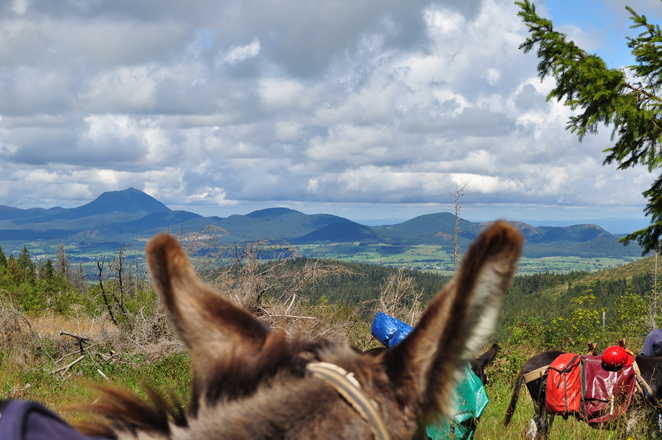 Volcans de la Chaine des Puys avec des ânes