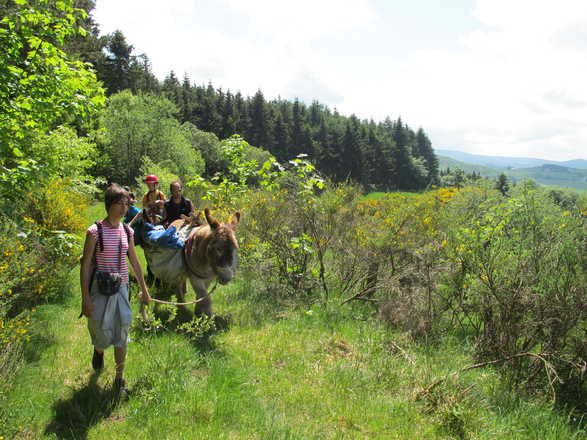 Familly trip with a donkey in Auvergne with Aluna Voyages