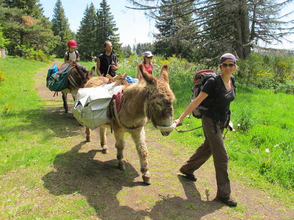 Familly trip with a donkey in France with Aluna voyages