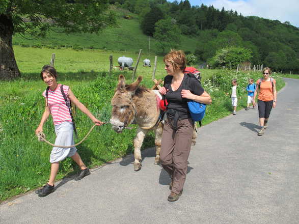 Rando en famille avec un âne en Auvergne avec Aluna Voyages