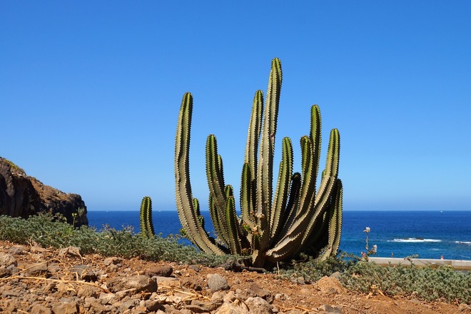 self guided hiking in Canaries islands with Aluna Voyages