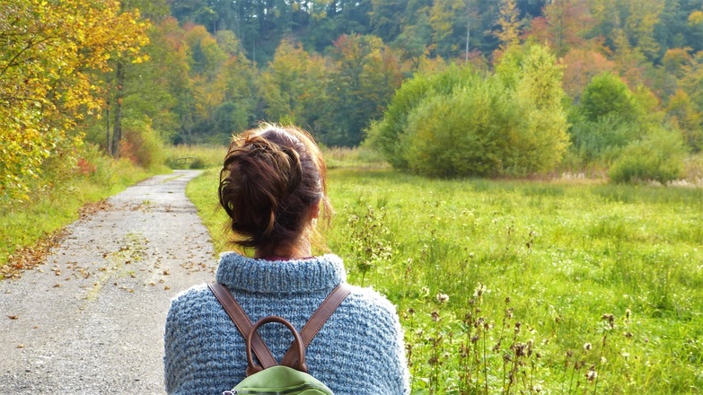 marche consciente en Auvergne avec Aluna Voyages