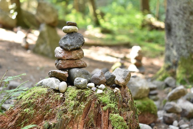 Land art nature et méditation en auvergne