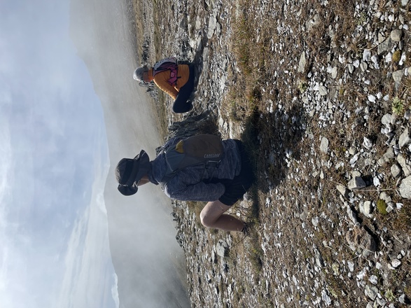 Marche Consciente en Auvergne avec Aluna voyages