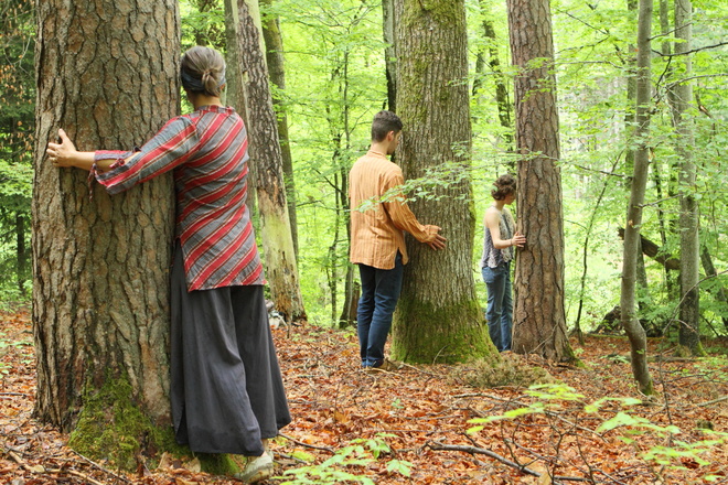 Reconnexion nature et marche consciente en Auvergne