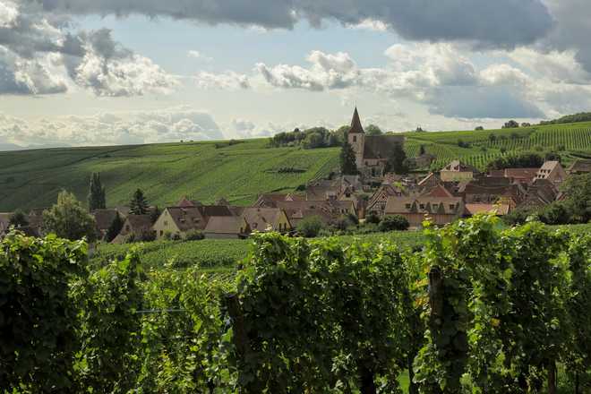 Village et vignoble d' Alsace