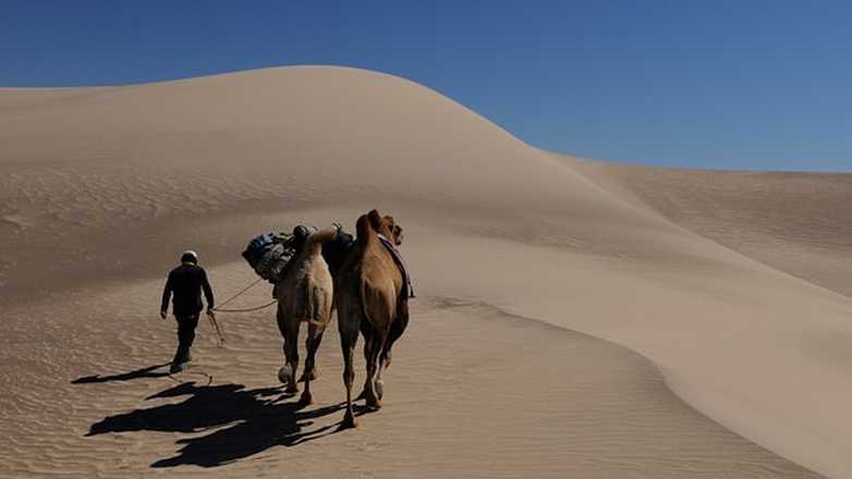 camel trek in Mongolia with Aluna Voyages
