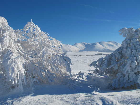 Le Sancy  Auvergne sous la neige