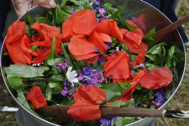 cueillettes et cuisine sauvage en Auvergne