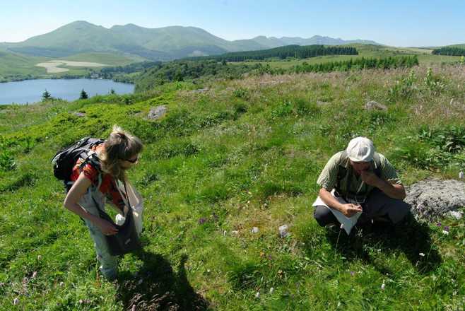 Discovery of wild edible plants in France with Aluna Voyages