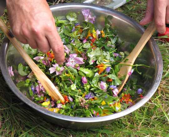 salad made with edible plants with Aluna Voyages