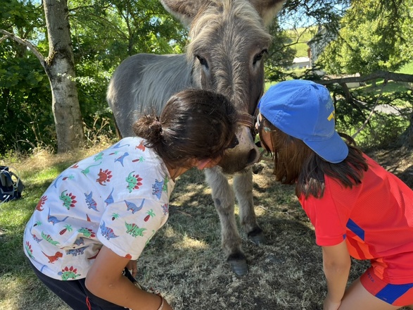 Randonnée avec un âne en  Ardèche