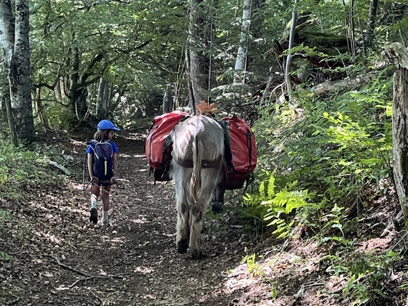 Randonnée accompagnée Ardèche avec un âne