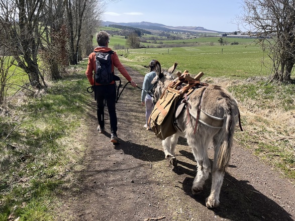 randonnée avec les ânes en Auvergne