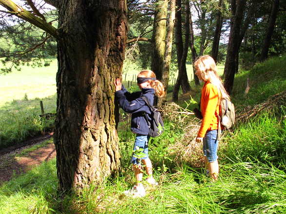 Jeux nature en  famille