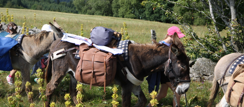 Journée Ane Auvergne