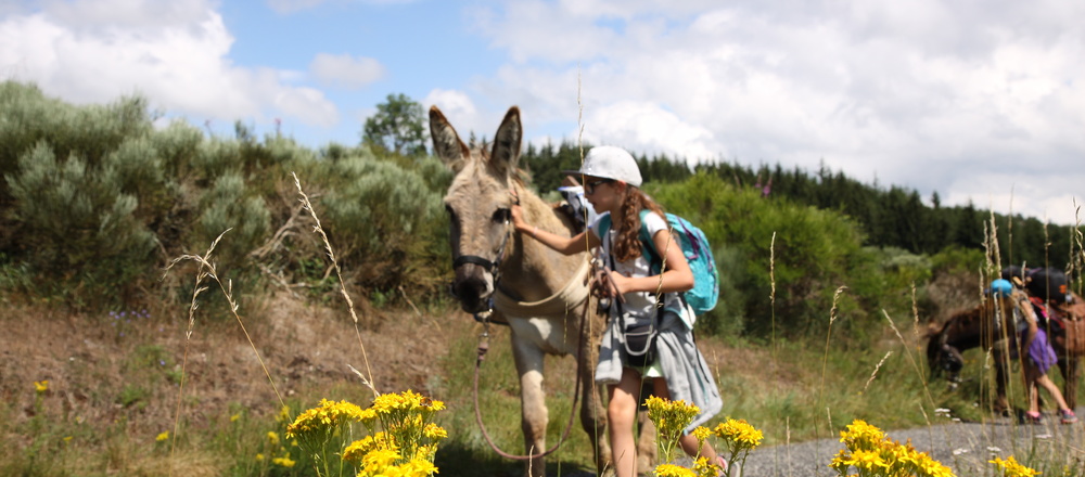 itinérance avec un âne en Ardèche