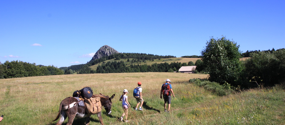 Randonnée Mont d'Ardéche avec un âne